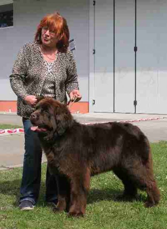 T Ultima vom Riesrand (03-08-2006)
